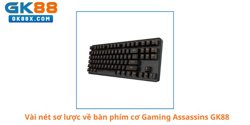 vai-net-so-luoc-ve-ban-phim-co-gaming-assassins-gk88